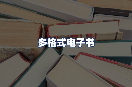 多格式电子书